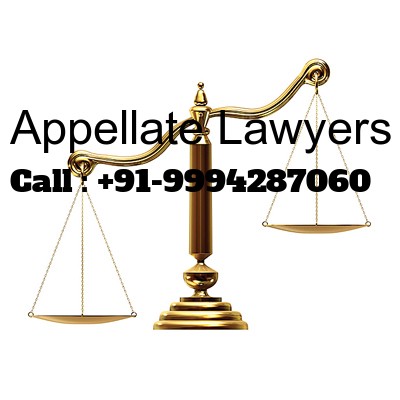 No.1 Property Legal opinion services from senior Vakils in Chennai