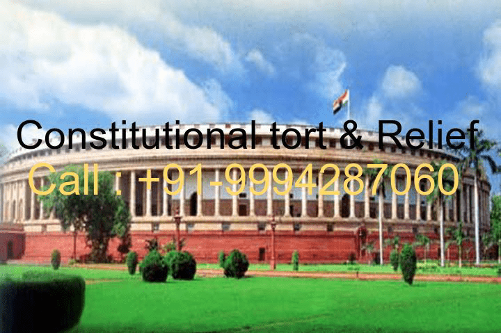 Top Constitutional tort Lawyers in Chennai