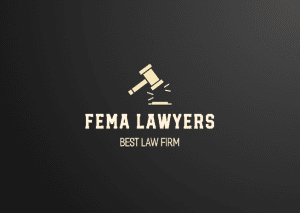 Find Lawyers for Foreign Exchange Management Act (FEMA) in Chennai, Tamil Nadu, India