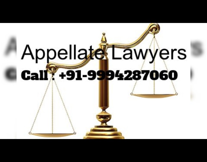 Appellate Lawyers AMP