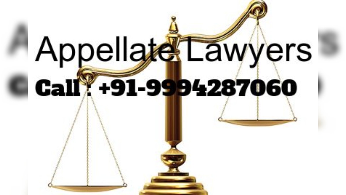 Judicial Review | Judicial Activism | Appellate Lawyers 