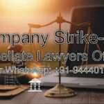 Company Strike-Off Expert Legal Services in the Best Law Firm