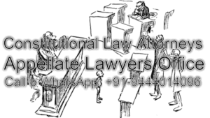 Constitutional Law Attorneys