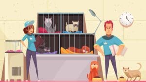 Best Lawyers For Animal Cruelty Cases | Appellate Lawyers Office: Top Law Firm in Chennai, India