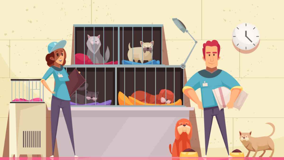 Best Lawyers For Animal Cruelty Cases | Appellate Lawyers Office: Top Law Firm in Chennai, India