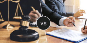 Advocates Vs Legal Consultants: Who Should You Choose?: Appellate Lawyers Office