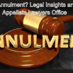 Seeking Annulment? Legal Insights and Support