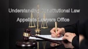 Understanding Constitutional Law: Expert Guidance