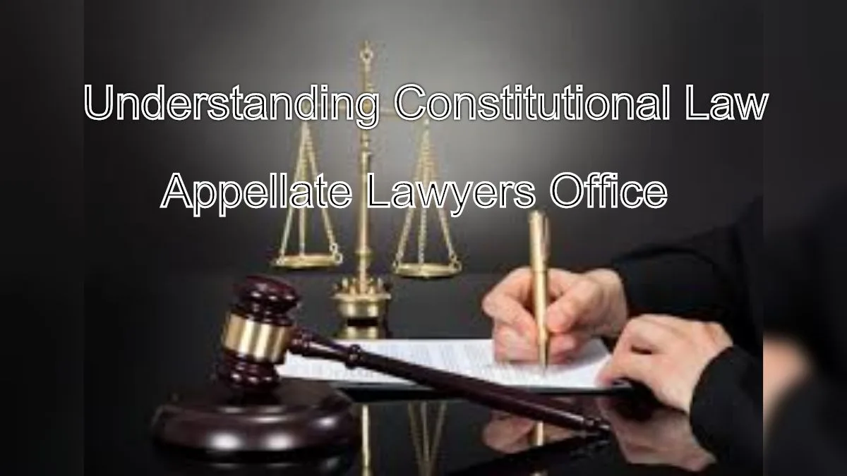 Understanding Constitutional Law: Expert Guidance