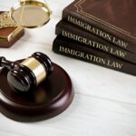 Navigating India Immigration Appeals_ Expert Legal Guidance with India Entry Services