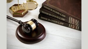 Navigating India Immigration Appeals_ Expert Legal Guidance with India Entry Services
