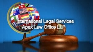Comprehensive International Legal Services in Chennai for Expats