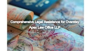 Comprehensive Legal Assistance for Overstay and Exit Permit Visas in India