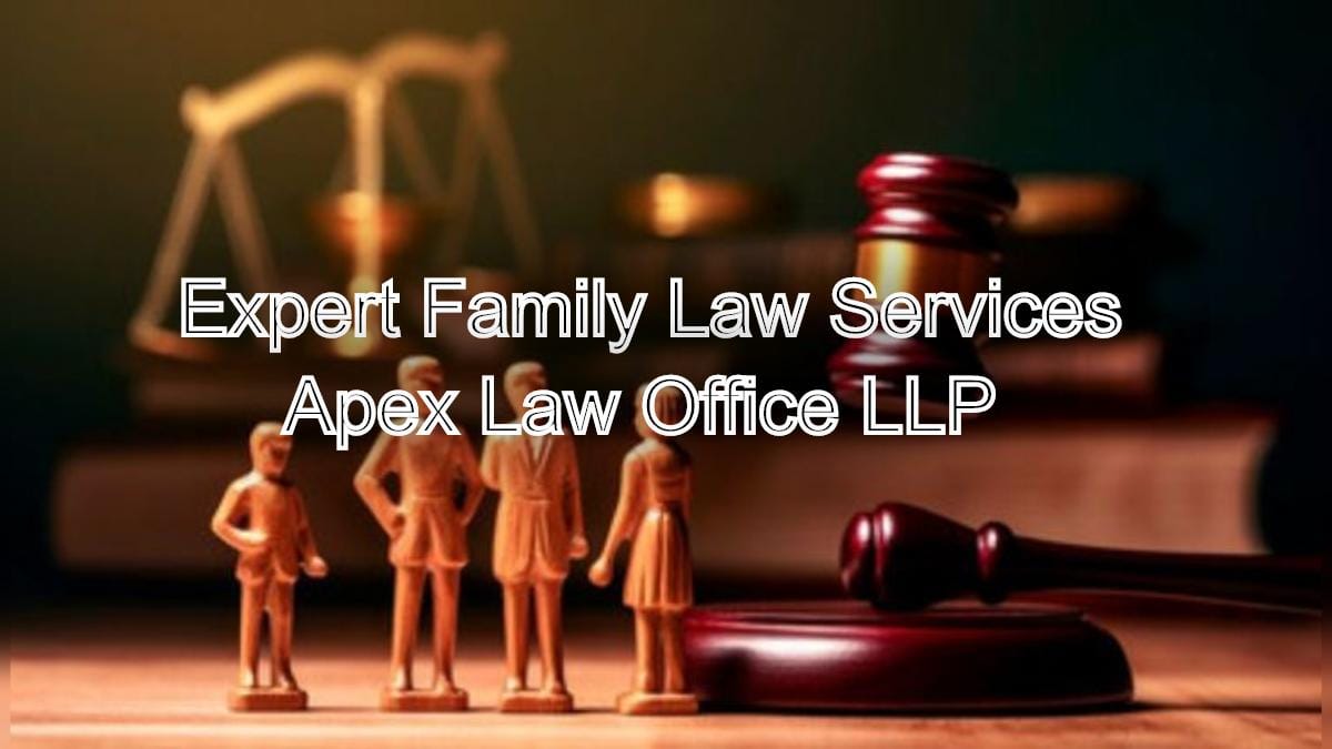 Expert Family Law Services for International Clients in Chennai