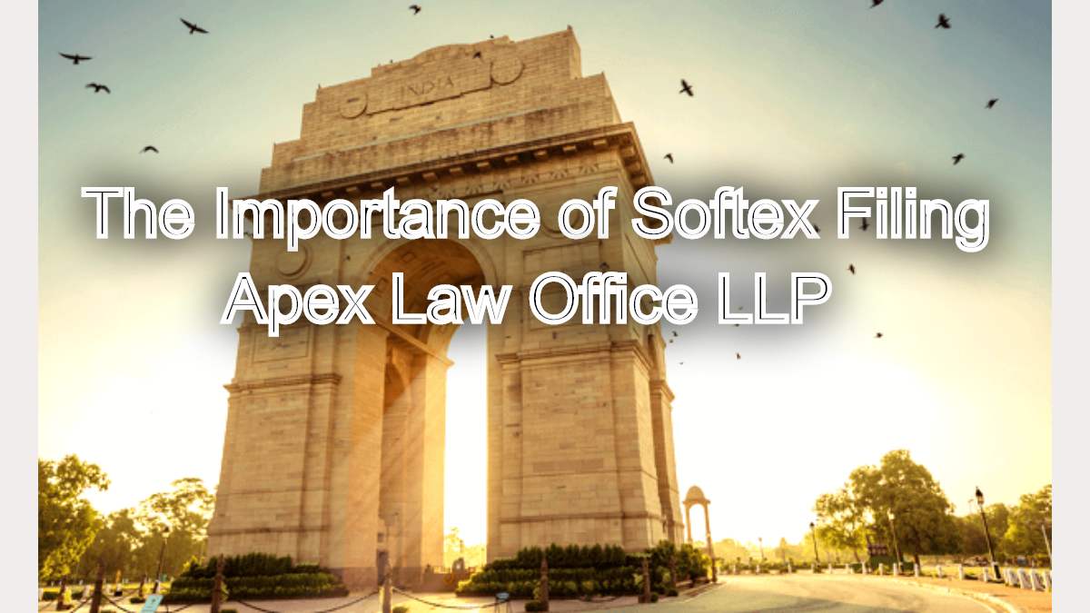 The Importance of Softex Filing: Legal Implications and Support for Software Exporters