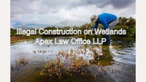 Illegal Construction on Wetlands: Remedies Before NGT & High Court