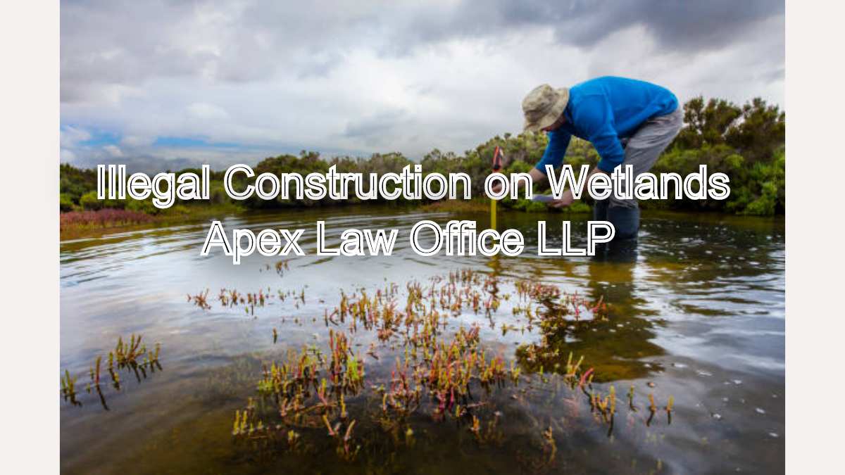 Illegal Construction on Wetlands: Remedies Before NGT & High Court