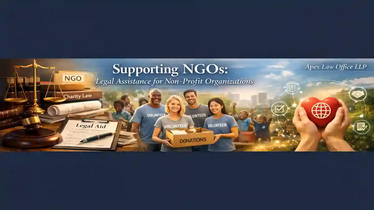 Supporting NGOs: Legal Assistance for Non-Profit Organizations